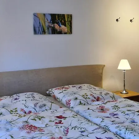 Hedfan Im Cnauceltaidd Lejlighed