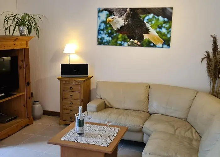 Hedfan Im Cnauceltaidd Halle (Holzminden)