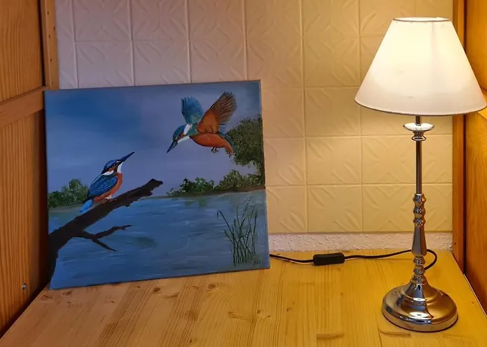 Hedfan Im Cnauceltaidd * Halle (Holzminden)