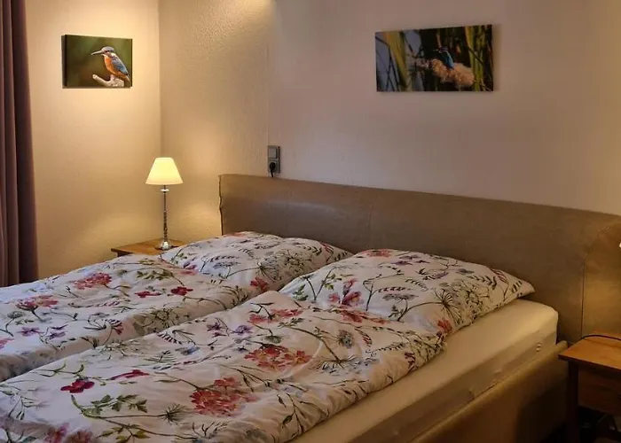 Hedfan Im Cnauceltaidd Apartmán