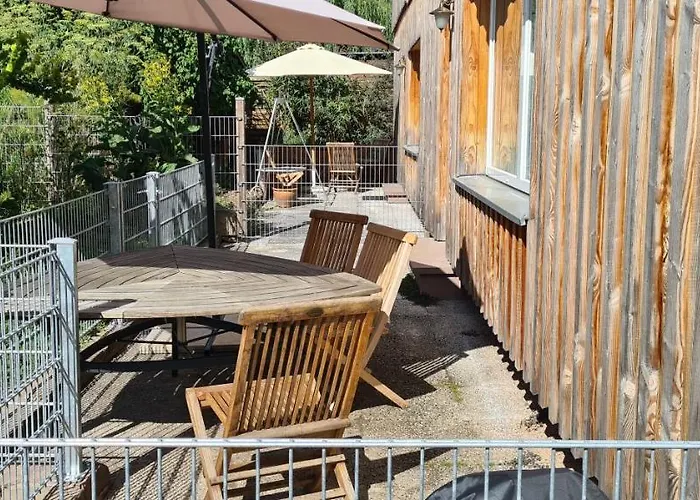 Hedfan Im Cnauceltaidd * Halle (Holzminden)